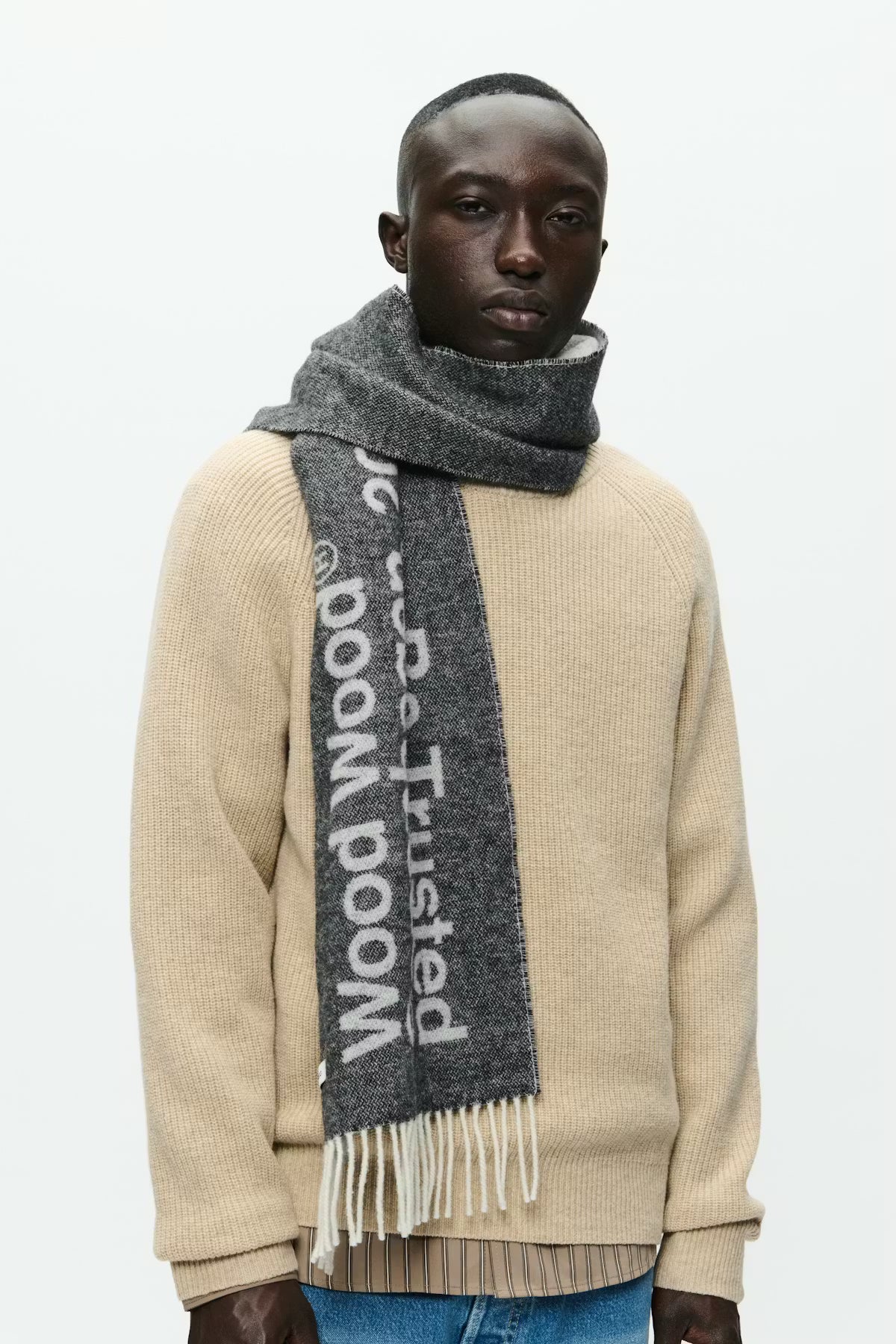 WOOD WOOD WWCody NTBT scarf - gray pinstripe