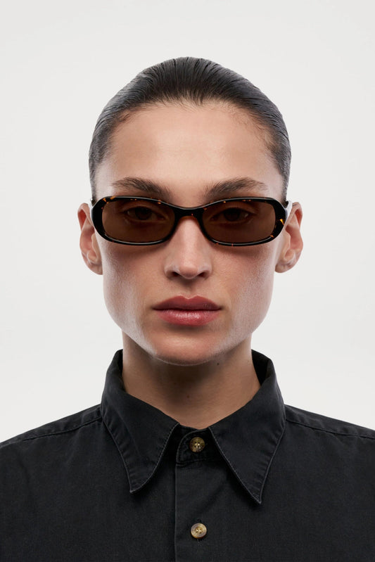 CHIMI Code.2 aurinkolasit - feral tortoise