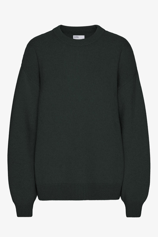 Colorful Standard Oversized Merino Wool Crew - hunter green