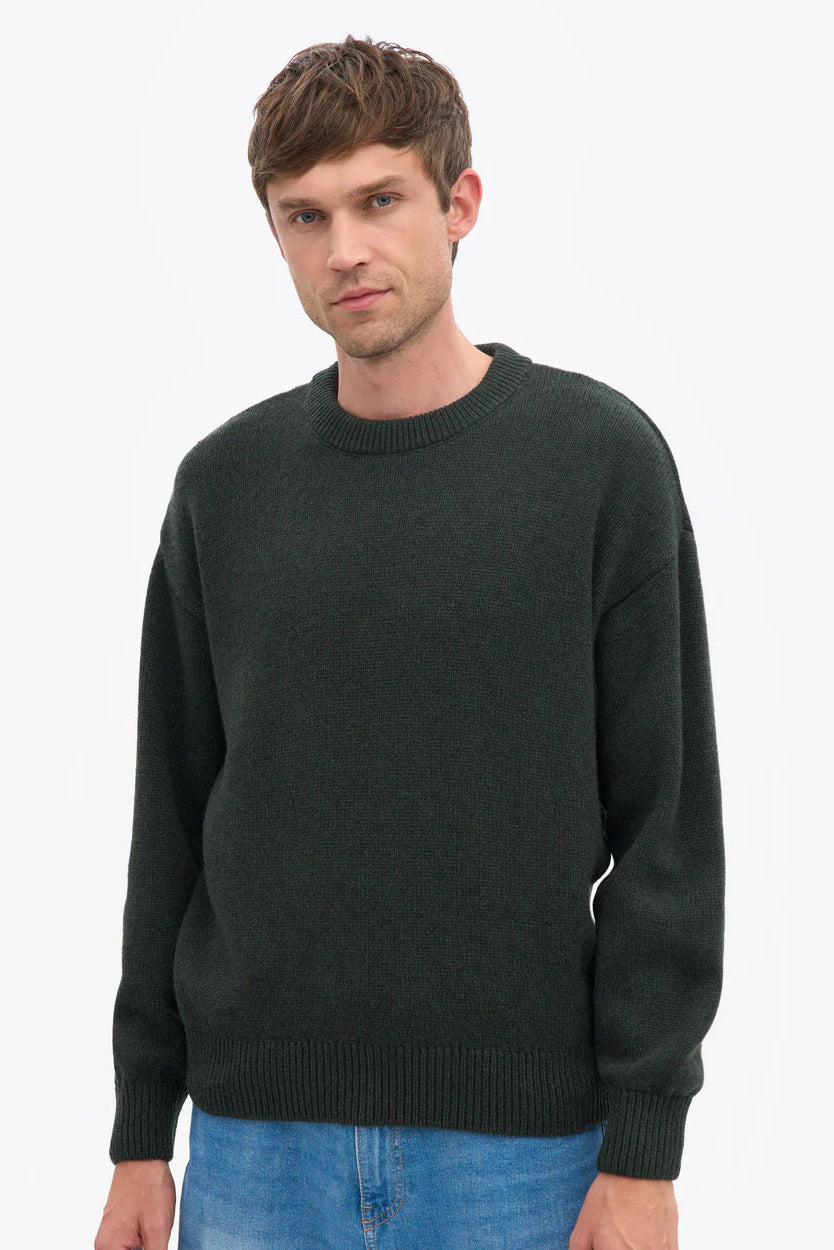 Colorful Standard Oversized Merino Wool Crew - hunter green
