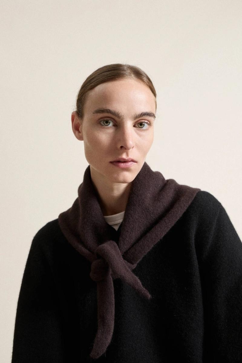 Ruskea kolmiohuivi