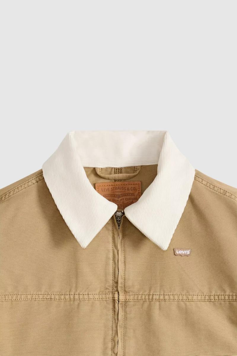 Naisten beige takki