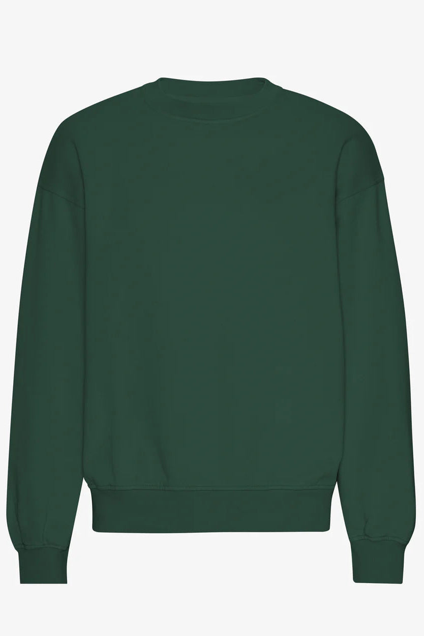 Colorful Standard Classic Organic Oversized Crew - emerald green