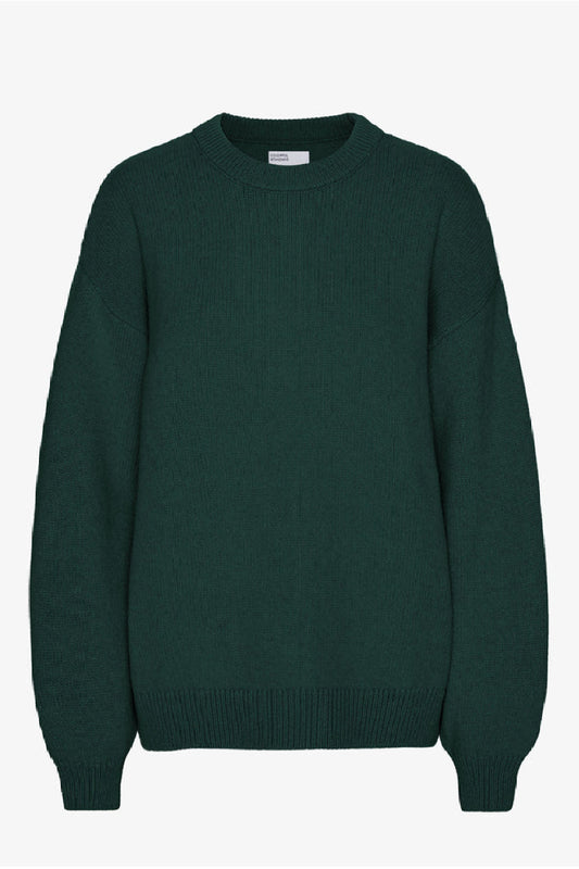 Colorful Standard Oversized Merino Wool Crew - emerald green