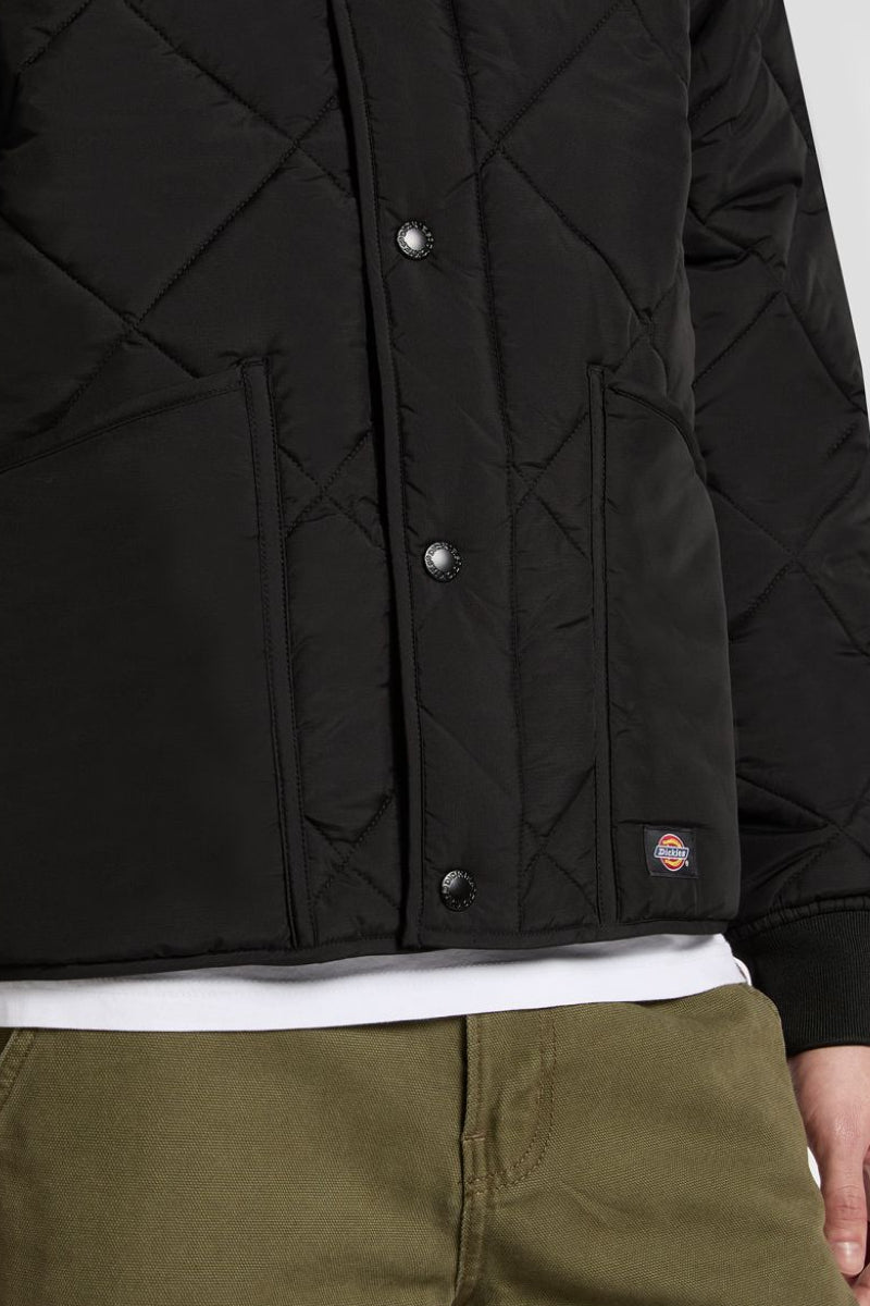 Dickies Samburg Liner jacket - black