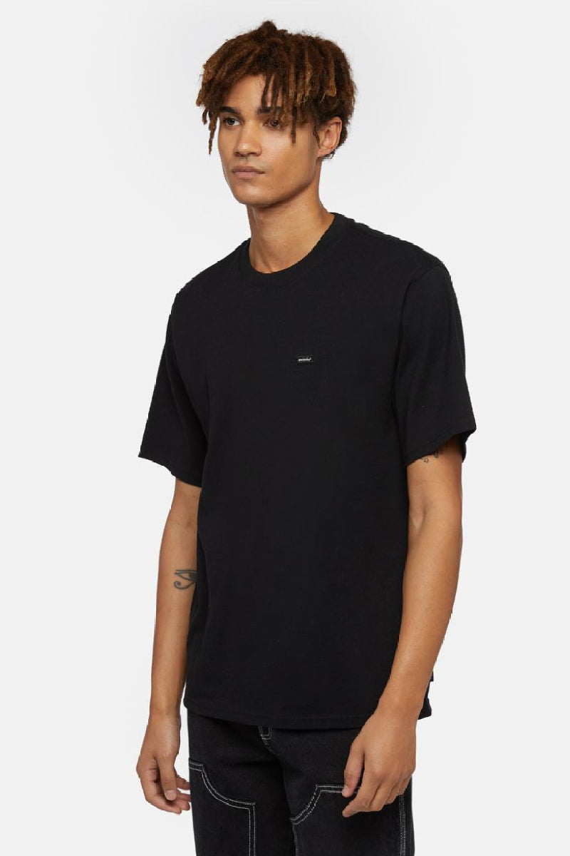 Dickies Clancy Heavyweight T-shirt - black