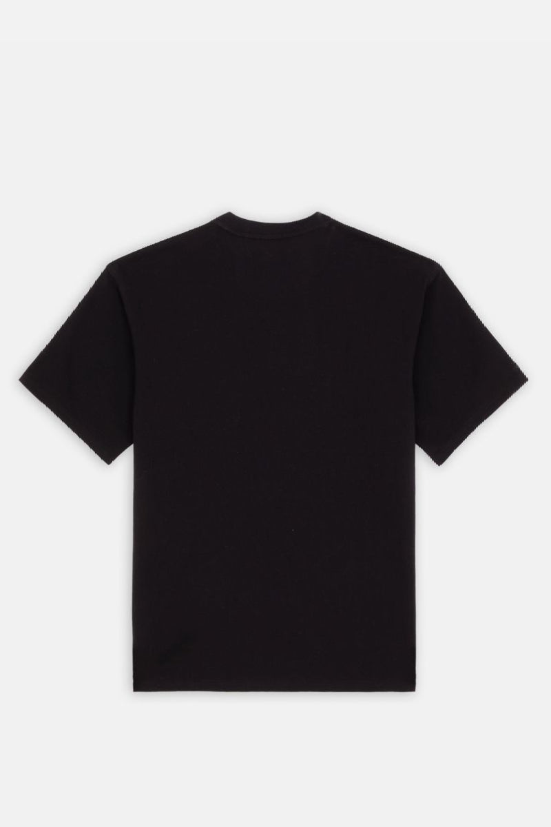 Dickies Clancy Heavyweight T-shirt - black