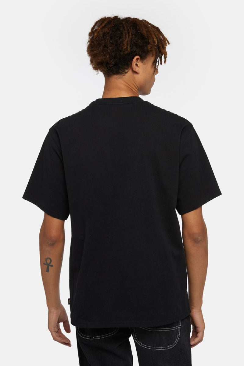 Dickies Clancy Heavyweight T-shirt - black