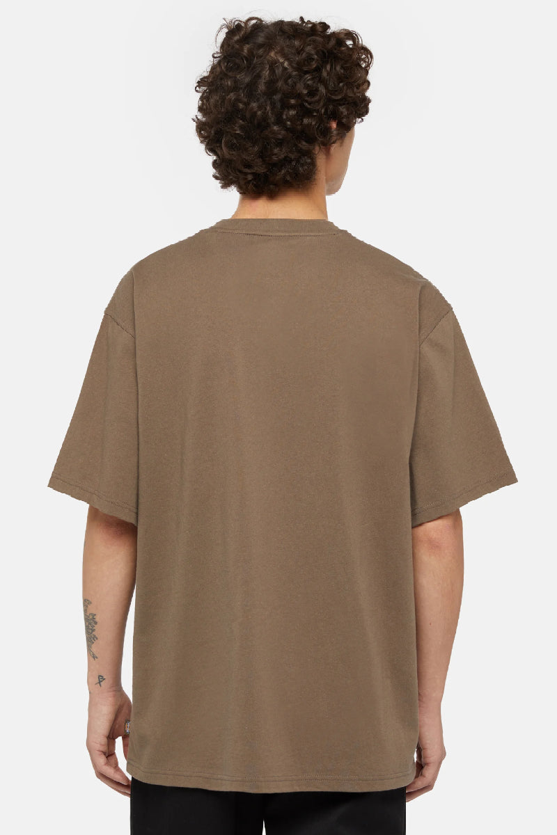 Dickies Clancy Heavyweight T-shirt - mushroom