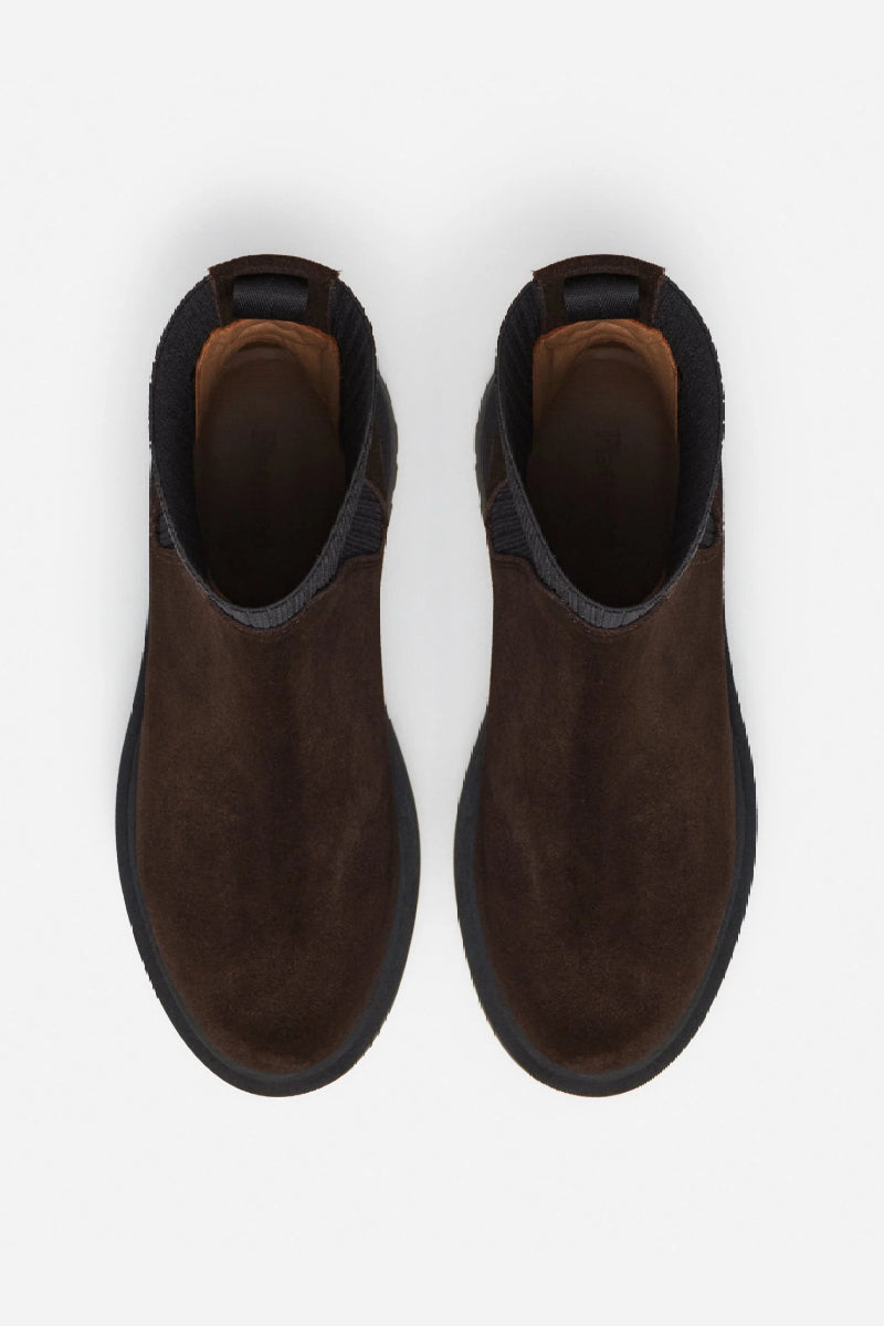 Flattered Aurora - Suede Chocolate