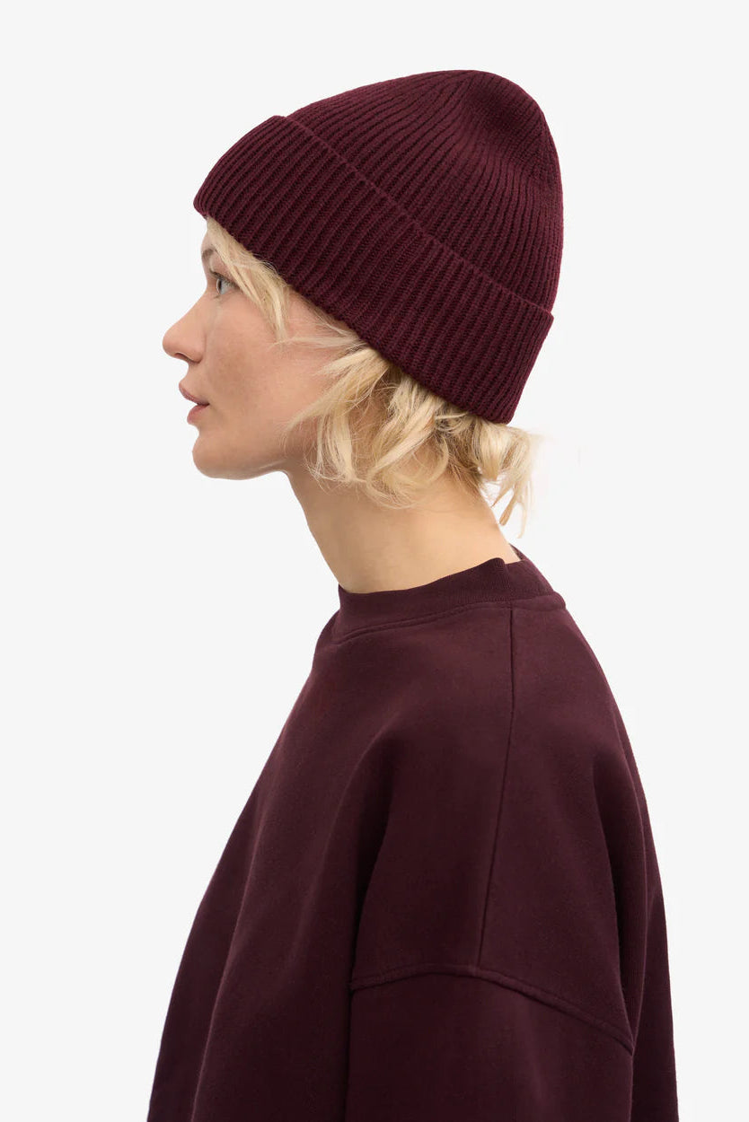 Colorful Standard Merino Wool Beanie - oxblood red