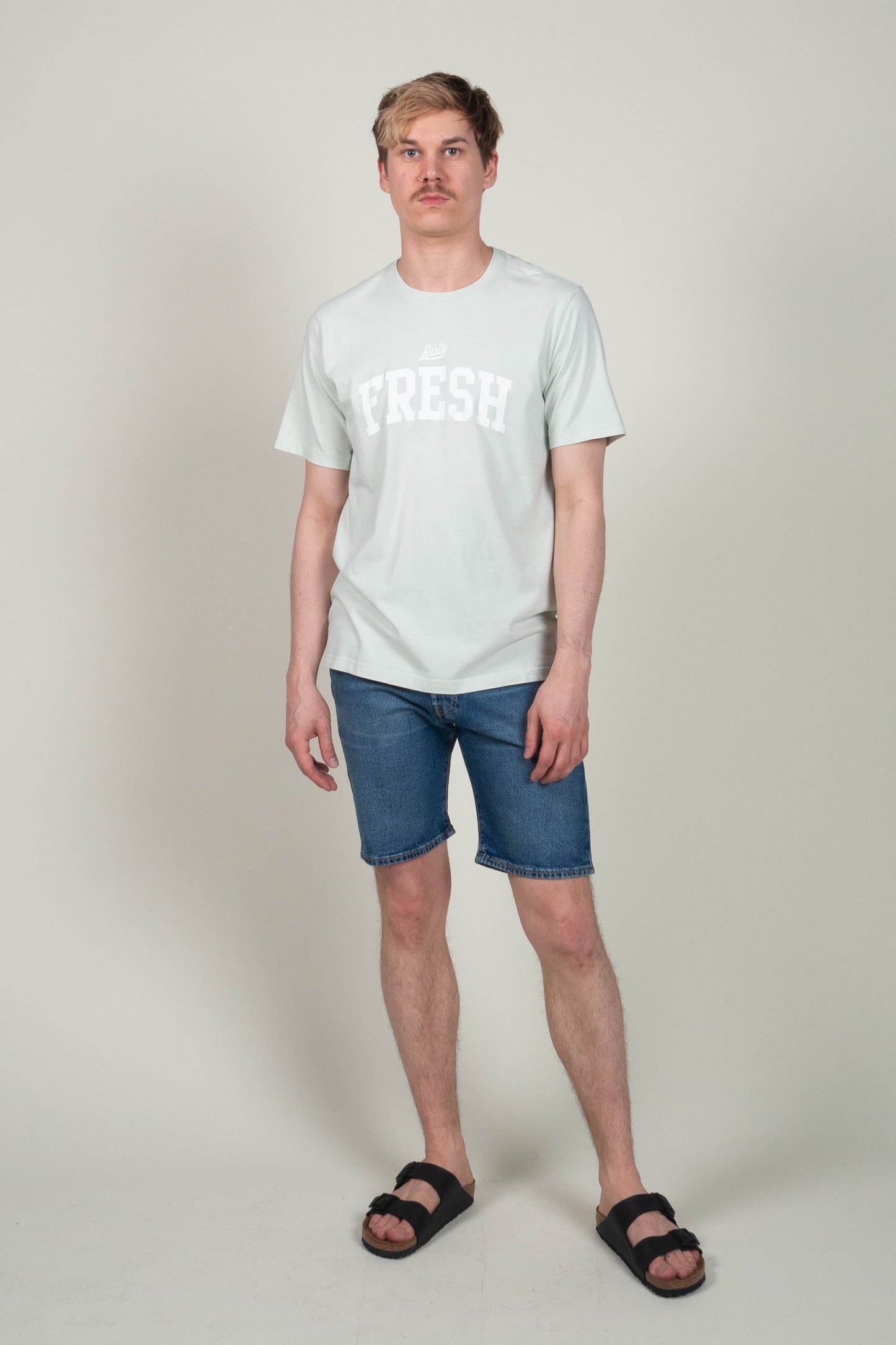 Levi's Relaxed Fit t-paita - Stay Fresh